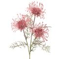 Floristik24 Umělý květinový jehelníček, protea, kvetoucí větvička 65 cm, 3 ks