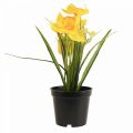 Floristik24 Narcis v květináči narcis žlutá umělá květina V21cm