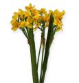 Floristik24 Kytice narcisů ve žluté barvě 35cm 3ks