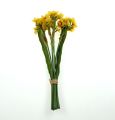 Floristik24 Kytice narcisů ve žluté barvě 35cm 3ks