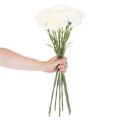 Umělý karafiát se stonkem do kytice a věnce, 56 cm, 8 kusů | Floristik24.cz