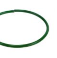 Floristik24 Karafiátové kroužky 19mm 1kg Malované zeleně