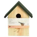 Floristik24 Hnízdní budka modrá sýkorka ptačí domeček dřevo přírodní zelená V20,5cm
