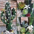 Floristik24 Květinová pěnová figurka kaktus černá 38cm x 74cm