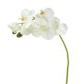 Floristik24 Orchidej bílá umělá L73cm 4ks