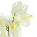 Floristik24 Umělá orchidej krém 50cm 6ks