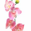 Floristik24 Orchidej Phalaenopsis umělá růžová 60cm