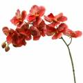 Floristik24 Umělá orchidej Phaelaenopsis Červená, Oranžová V81cm