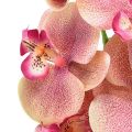 Floristik24 Orchidej Phalaenopsis umělá 9 květů růžová vanilka 96cm