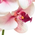 Floristik24 Orchideje Phalaenopsis umělé 9 květů bílá fuchsie 96cm