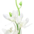 Floristik24 Orchideje umělé Oncidium umělé květiny bílé 90cm