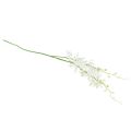 Floristik24 Orchideje umělé Oncidium umělé květiny bílé 90cm