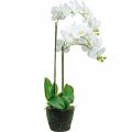 Floristik24 Umělá orchidej do květináče bílá 80cm