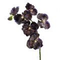 Floristik24 Orchidej Vanda umělá fialka L 44cm