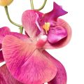 Floristik24 Umělá orchidej Phalaenopsis Orchid Fuchsia 78cm