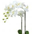Floristik24 Orchidej bílá na 65cm žárovce