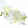 Floristik24 Orchideje bílé v květináči umělá rostlina H35cm