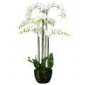 Floristik24 Orchidej bílá na kouli 118cm