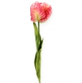 Floristik24 Papoušek tulipán růžový 71cm 3ks
