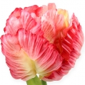 Floristik24 Papoušek tulipán růžový 71cm 3ks