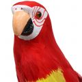 Floristik24 Deco papoušek červený 44cm