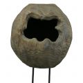 Floristik24 Dekorativní sochařská rostlinná koule ze dřeva paulovnie H68cm