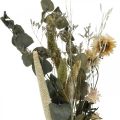 Floristik24 Sušené květiny kytice eukalyptus sada suchého květinářství V30-35cm