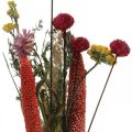 Floristik24 Kytice ze sušených květin s lučními květy růžová DIY sada V30-35cm