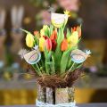 Floristik24 Rostlinné špunty barevné kuřecí ozdobné špunty dřevěné slepice Velikonoční dekorace 14 kusů