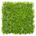 Floristik24 Umělá podložka z buxusu 55x55 cm pro dekorativní nástěnný design