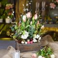 Floristik24 Květináč, dekorativní krabice, dřevěná krabice s uchy, krabice na řemeslné výrobky Shabby Chic L25cm H10cm