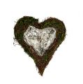 Floristik24 Rostlina srdce liána, mech 22 cm x 25 cm V7 cm