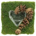 Rostlinný polštářek srdce mech a šišky čtvercové 25 × 25 cm