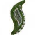 Floristik24 Květináč mech a šišky vlnově zelená, praná bílá 41 × 15 cm