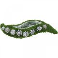 Floristik24 Květináč mech a šišky vlnově zelená, praná bílá 41 × 15 cm
