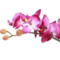 Floristik24 Umělé orchideje v květináči Phalaenopsis umělé květiny orchidej růžové 34cm