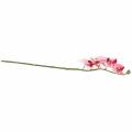 Floristik24 Umělá větev orchideje Phaelaenopsis Pink H49cm