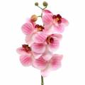 Floristik24 Umělá větev orchideje Phaelaenopsis Pink H49cm