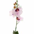 Floristik24 Umělá orchidej Phaleanopsis White, Fialová 43cm