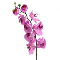 Floristik24 Orchidej Phalaenopsis růžová 77cm