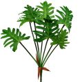 Floristik24 Filodendron rostlina umělá zelená 58cm