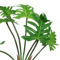 Floristik24 Filodendron rostlina umělá zelená 58cm