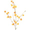 Floristik24 Umělá rostlina čínského lampionu, větvička Physalis s květy, 95 cm