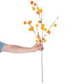 Umělá rostlina čínského lampionu, větvička Physalis s květy, 95 cm | Floristik24.cz