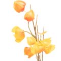 Umělá rostlina čínského lampionu, větvička Physalis s květy, 95 cm | Floristik24.cz