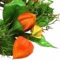 Umělý věnec z Physalis, oranžový a zelený, Ø28cm, podzimní dekorace | Floristik24.cz