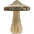 Floristik24 Dřevěná houbová kůra a třpytky deko houby dřevo V8,5cm 4ks