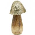 Floristik24 Dekorativní houba kov dřevo zlatá, přírodní dekorativní stojan 13,5 cm
