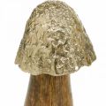 Floristik24 Dekorativní houba kov dřevo zlatá, přírodní dekorativní stojan 13,5 cm
