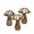 Floristik24 Dřevěná houba zlatá, přírodní mangové dřevo Ø7–7,6 cm V8,5–9,5 cm 4ks